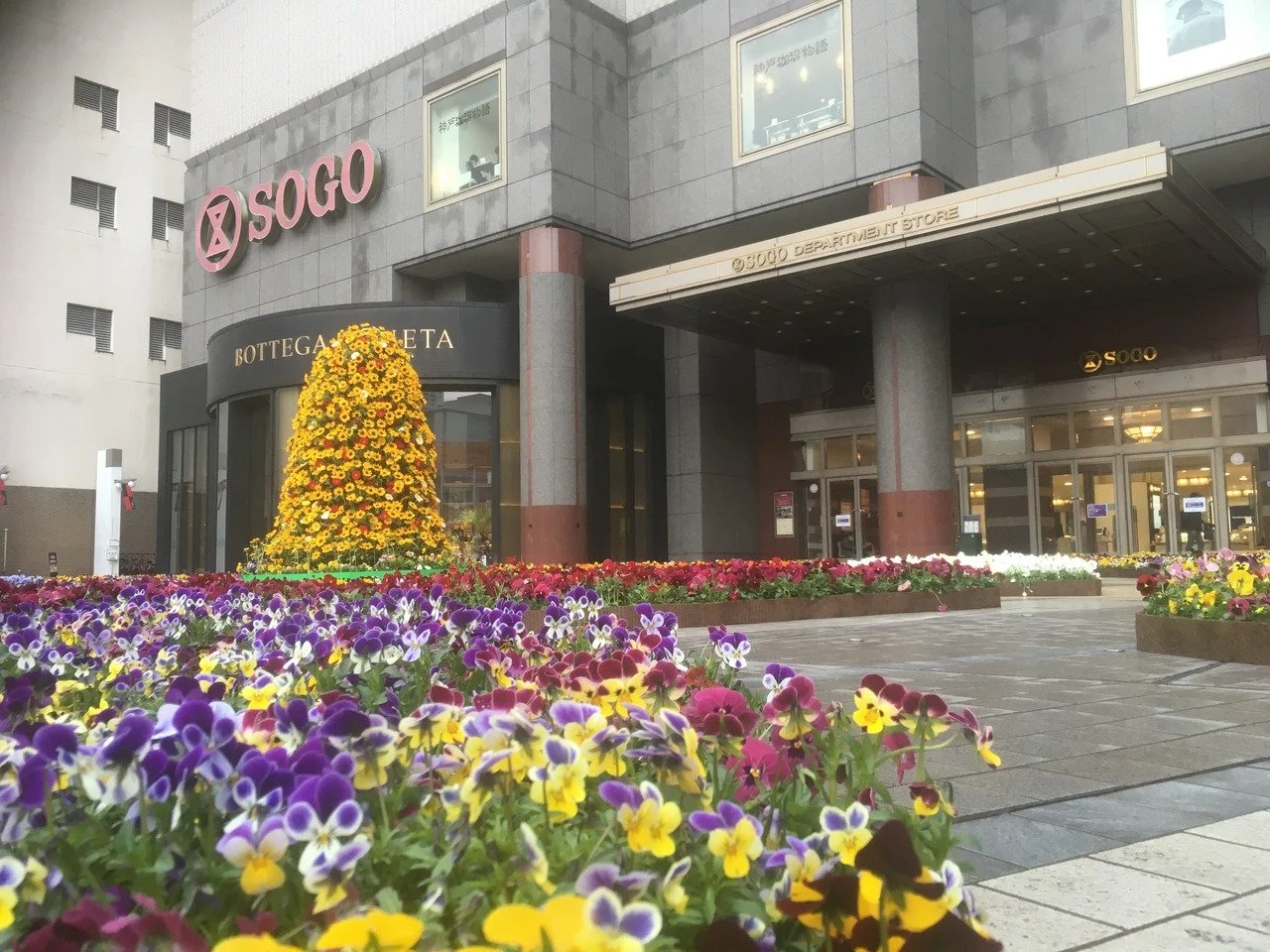 商業施設前に施工した花壇とトピアリー